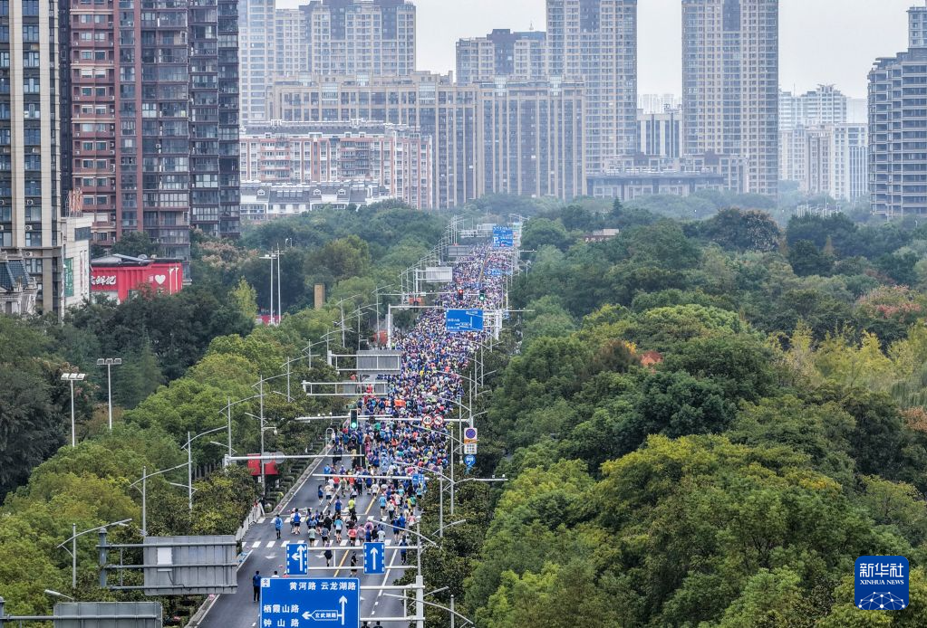GA黄金甲产品图片