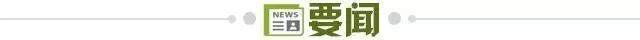 了解GA黄金甲