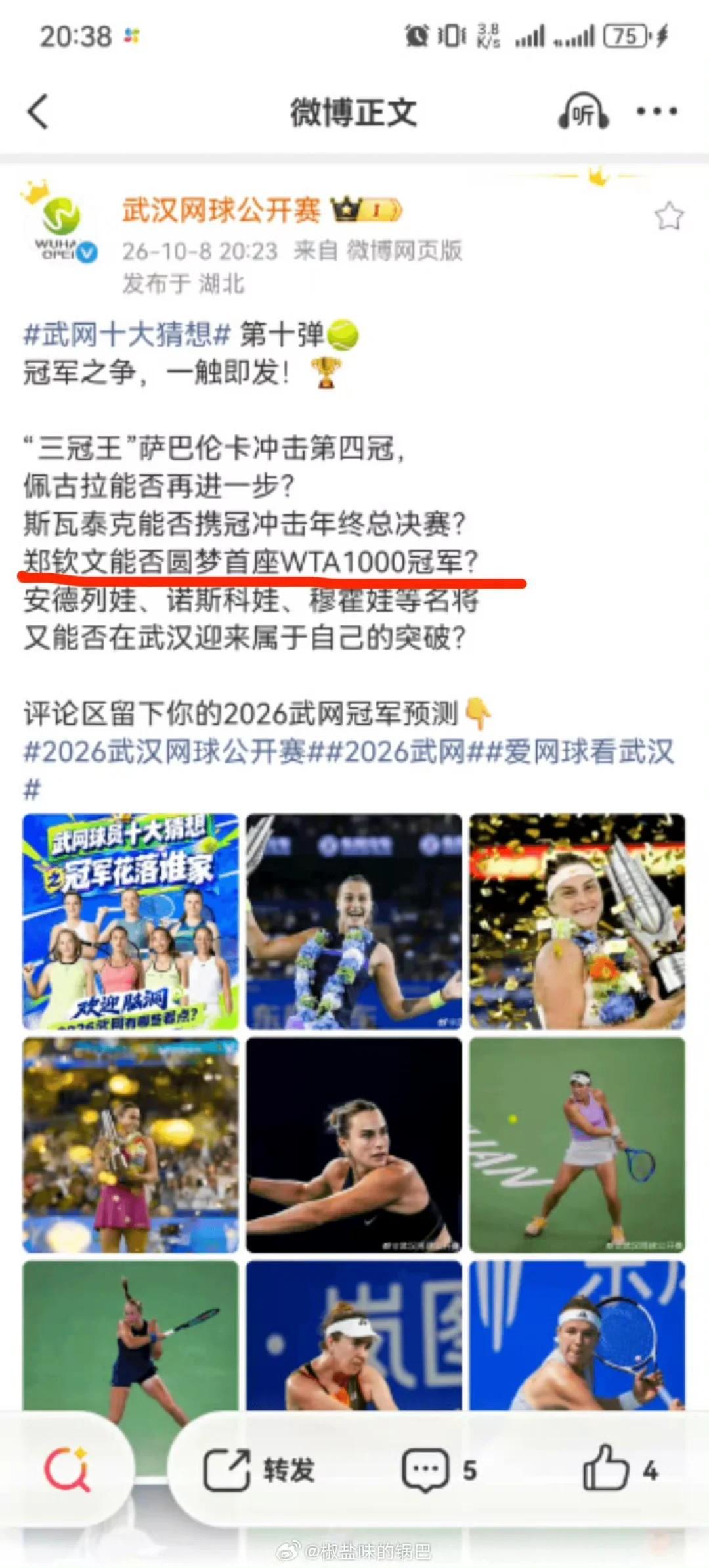 GA黄金甲案例展示